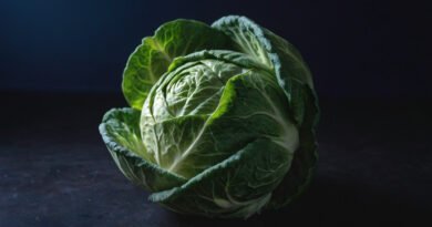 Scientists Admit Brussels Sprouts Were Never Meant for Human Consumption