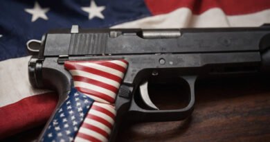 US Gun Crime Crisis Solved, Experts Say More Guns Are the Answer