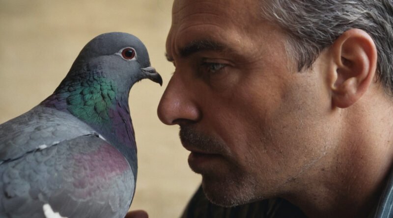 Dudley Man Claims He Can Communicate With Local Pigeons