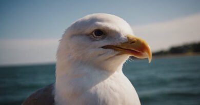 Blackpool Council to Introduce 'Seagull Licensing Scheme' in Bid to Tame Local Bird Population