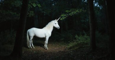 Unicorn Sighting in Norway Forest Sparks Global Frenzy